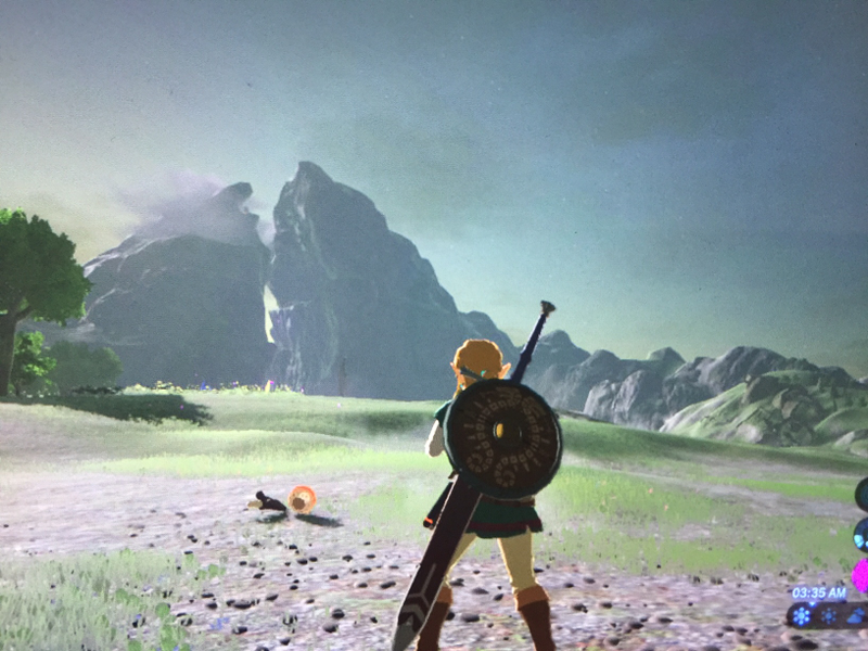 Illustration for article titled Here are Some of my Favorite Screenshots from The Legend of Zelda: Breath of the Wild
